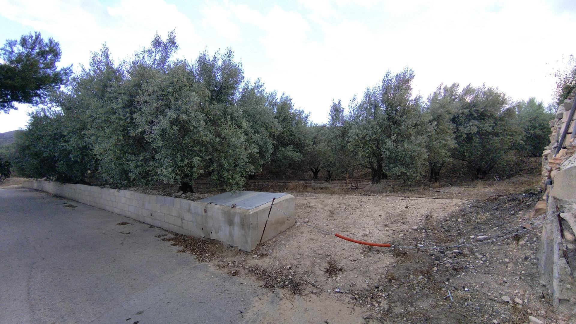 Terreno en Calasparra en venta Foto del edificio- Imagen 1 de 17