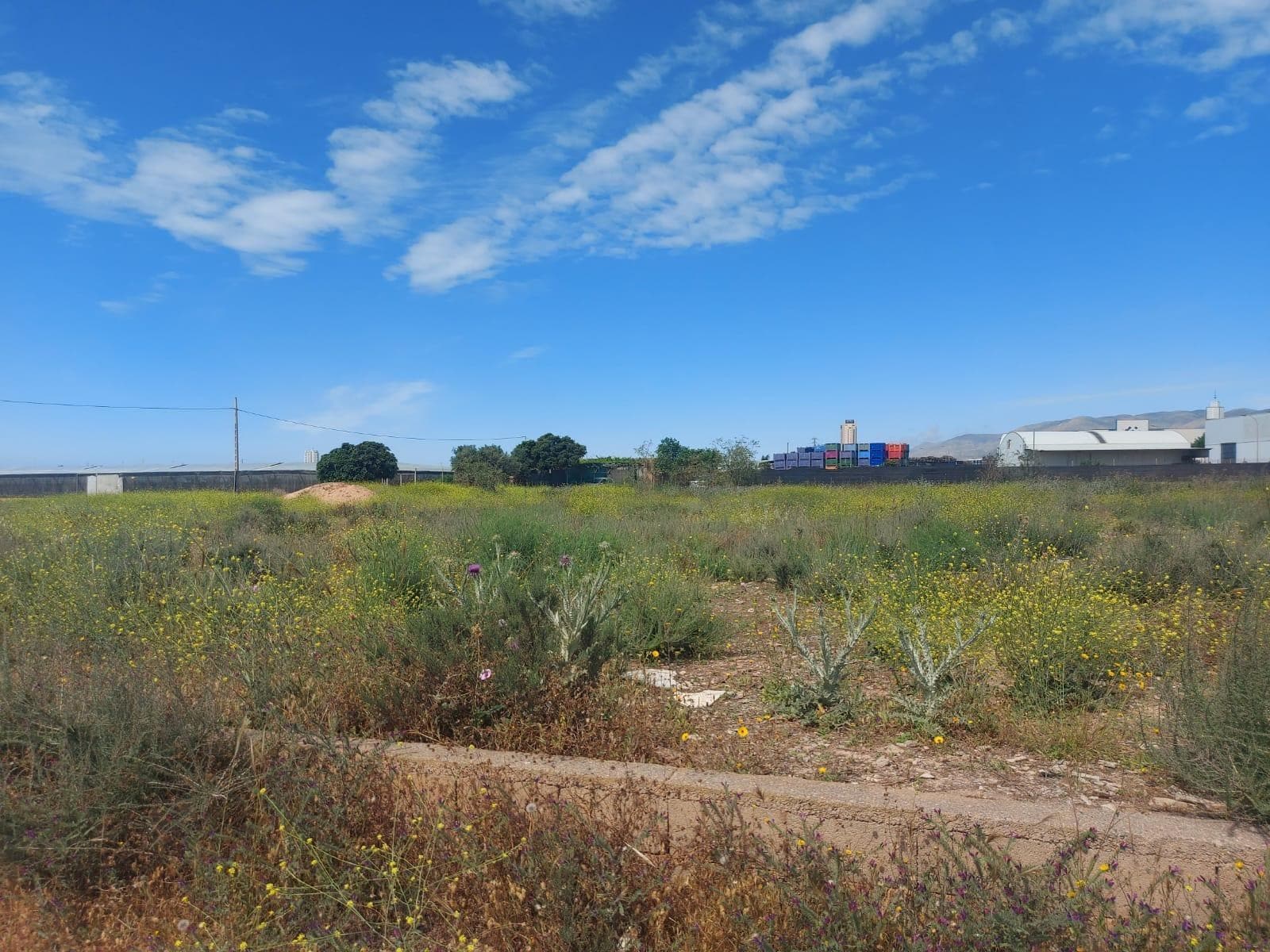 Terreno en El Ejido, Almería en venta Plano del sitio- Imagen 1 de 5