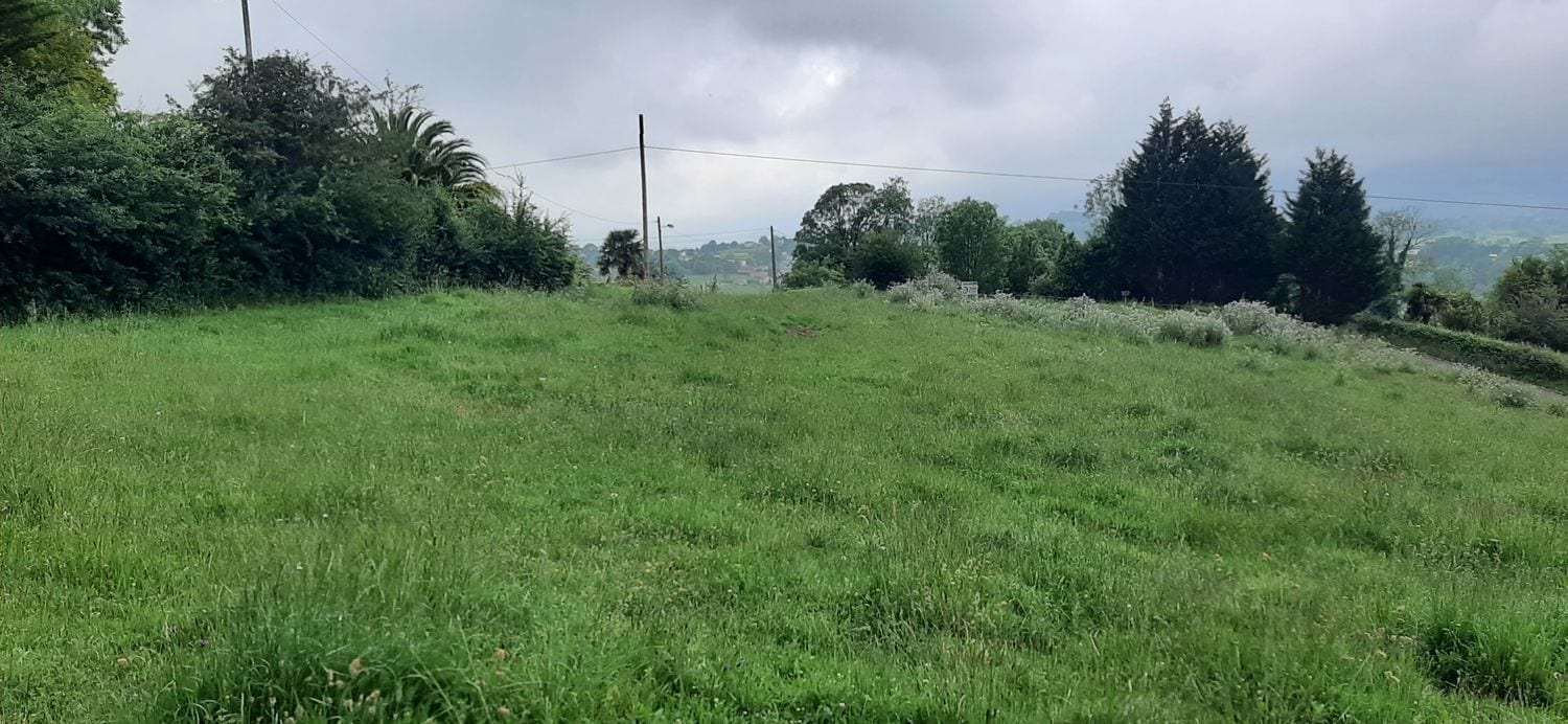 Terreno en Nava, Asturias en venta Plano del sitio- Imagen 1 de 8