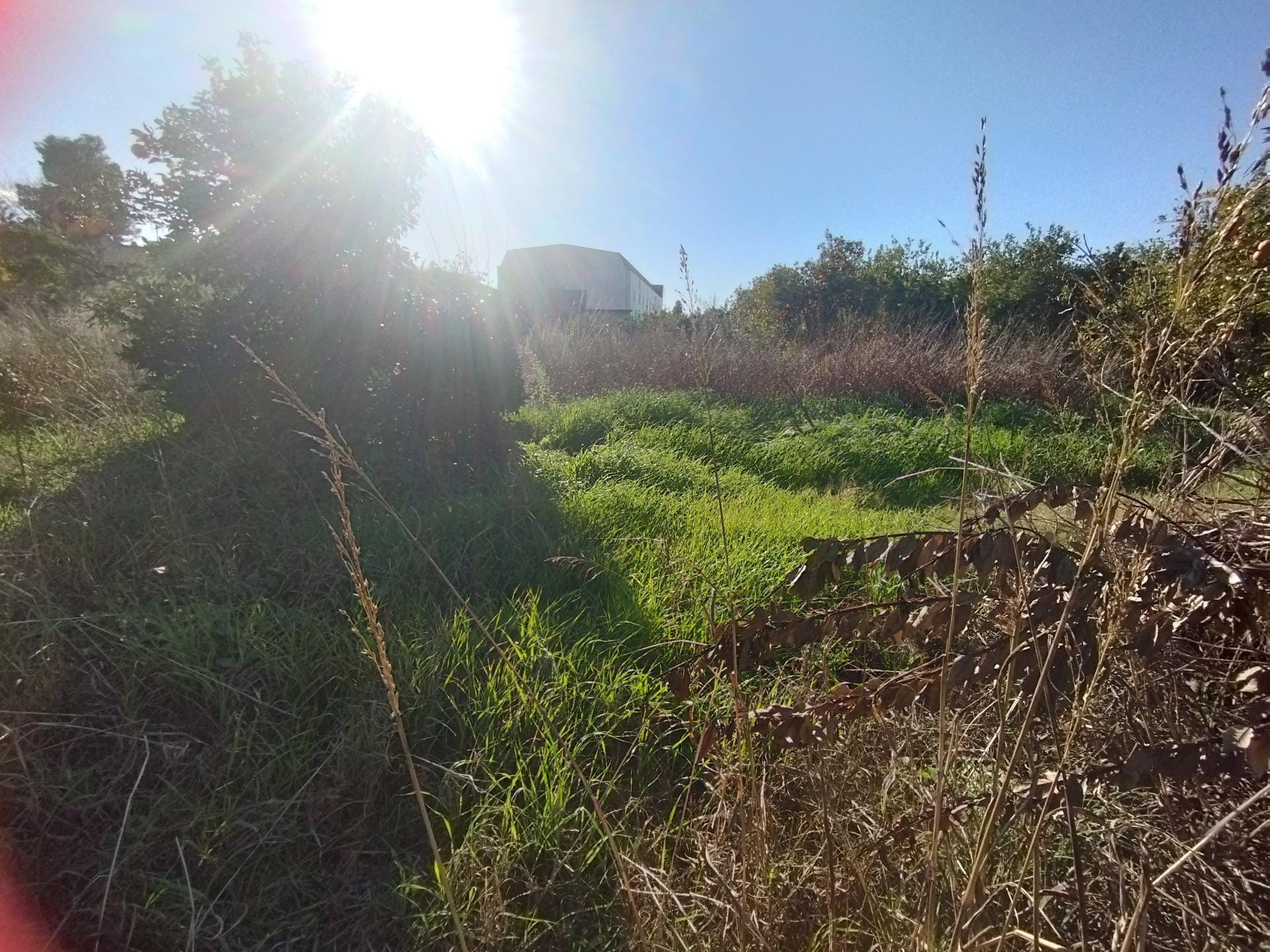 Camino de los Pinos, S/N, Murcia, Murcia en venta Foto del edificio- Imagen 1 de 18