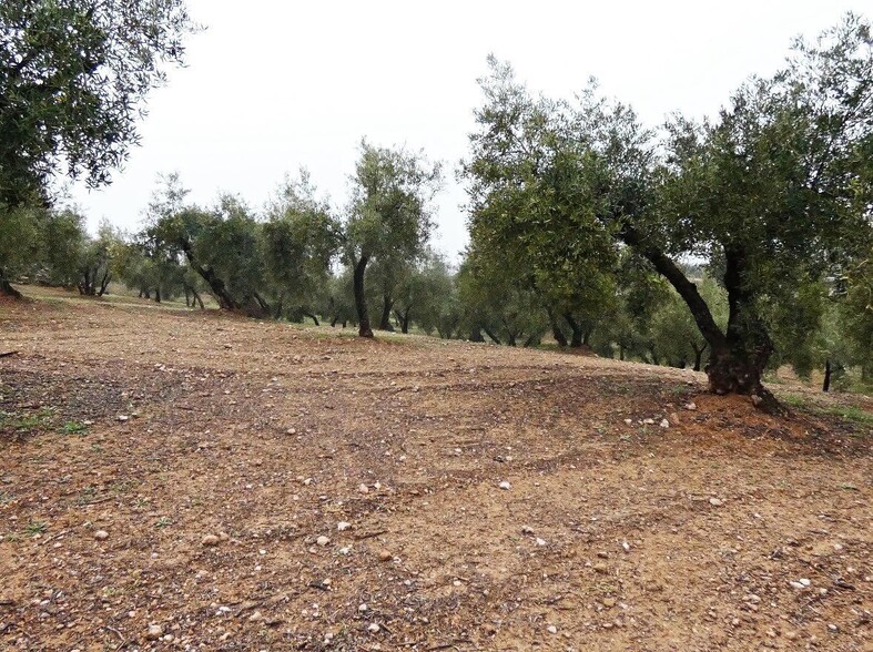 Terreno en Peligros, Granada en venta - Foto del edificio - Imagen 2 de 22