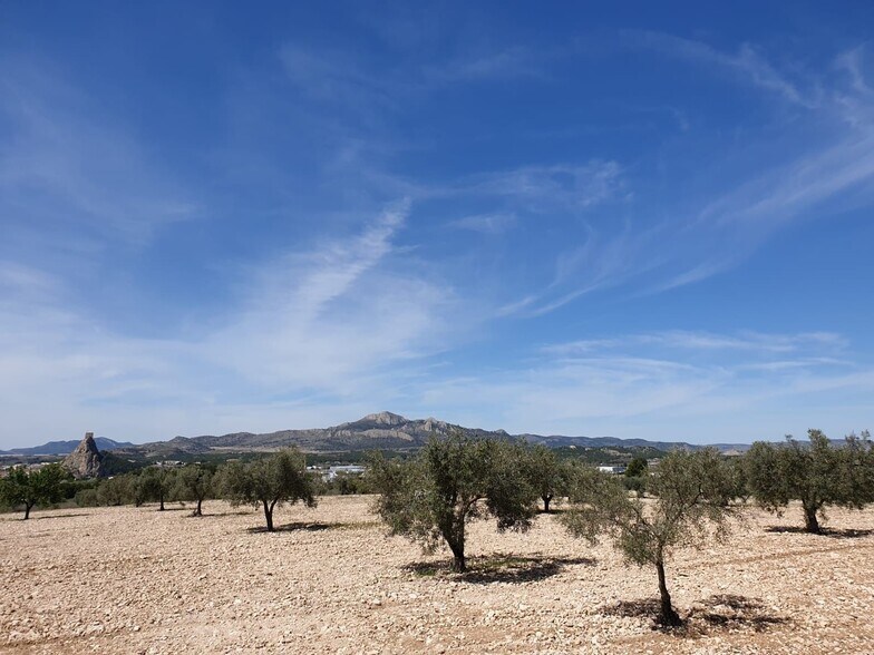Terreno en Sax, Alicante en venta - Vista aérea - Imagen 3 de 5
