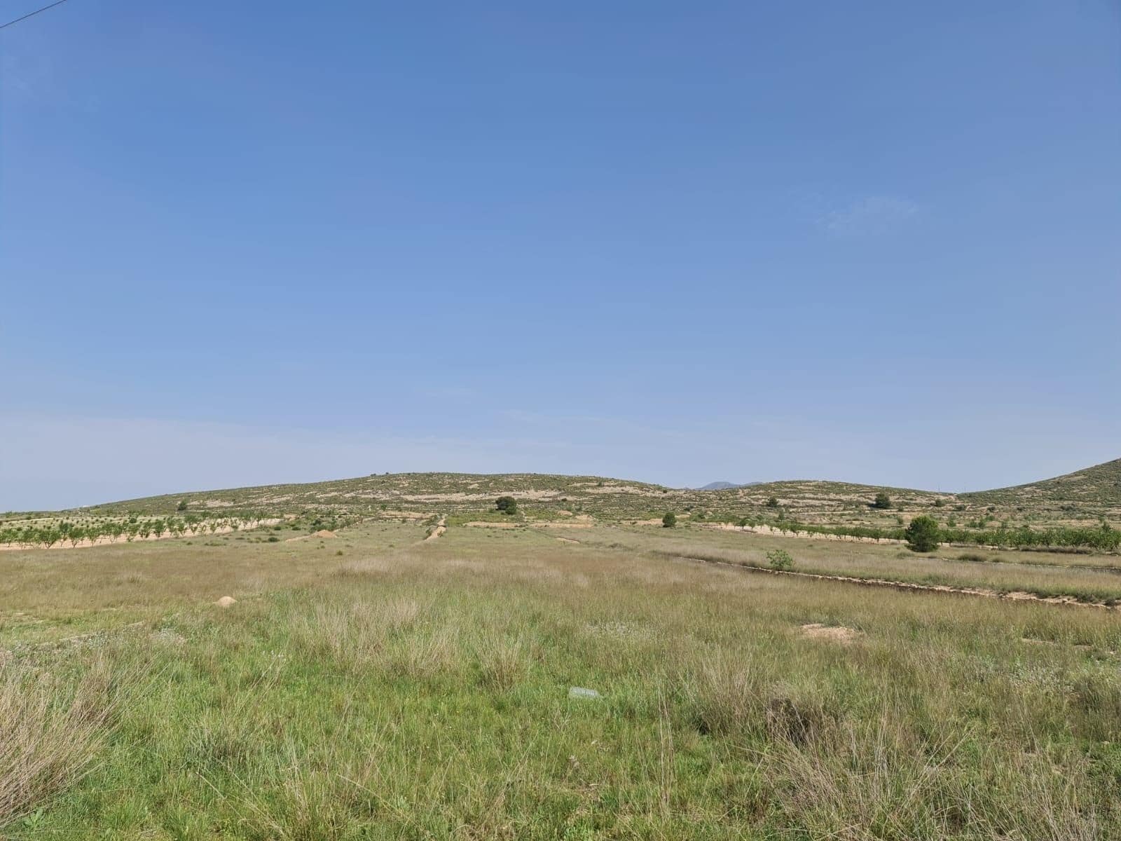Terreno en Jumilla, Murcia en venta Foto principal- Imagen 1 de 10