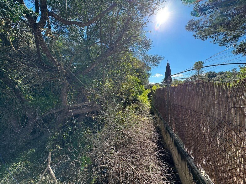 Terreno en Sa Pobla, Islas Baleares en venta - Foto principal - Imagen 3 de 15