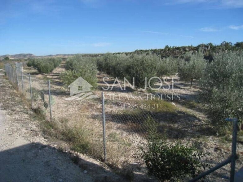 Terreno en Aspe, Alicante en venta - Vista aérea - Imagen 2 de 4
