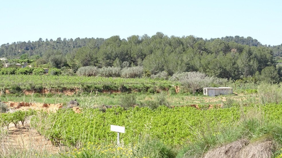 Polígono Enchilagar del Rullo, 16, Vilamarxant, Valencia en venta - Foto del edificio - Imagen 2 de 27