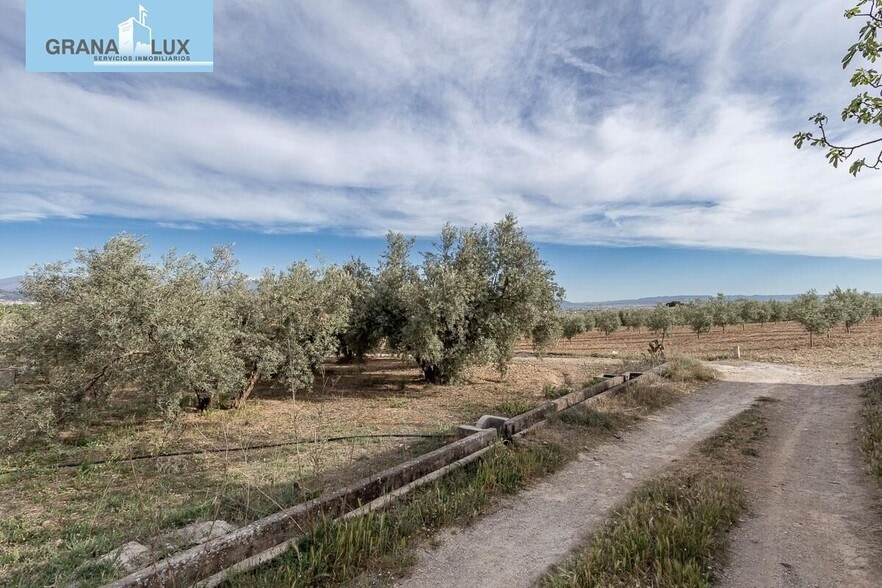 Pago de, Albolote, Granada en venta - Foto del edificio - Imagen 3 de 14