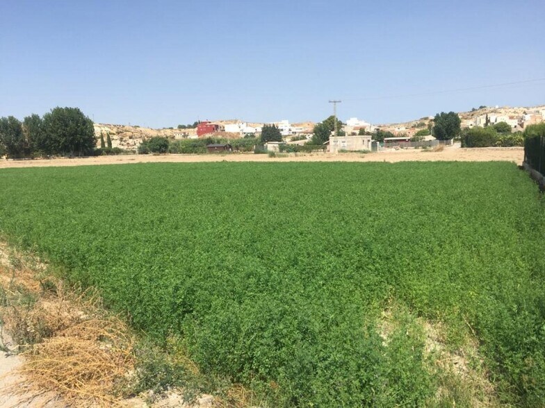 Terreno en Molina de Segura, Murcia en venta - Plano del sitio - Imagen 1 de 6