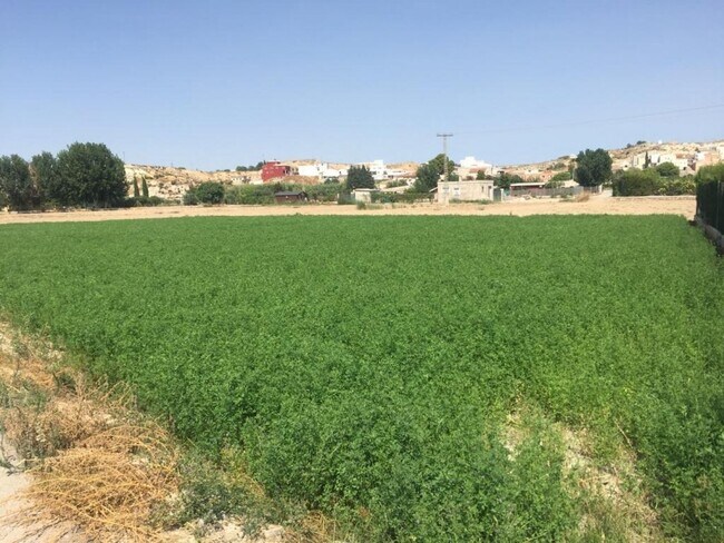 Más detalles de Terreno en venta