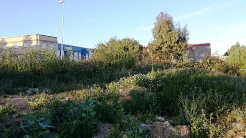 Calle Ébano, 1, San Roque, Cádiz en venta - Otros - Imagen 2 de 5