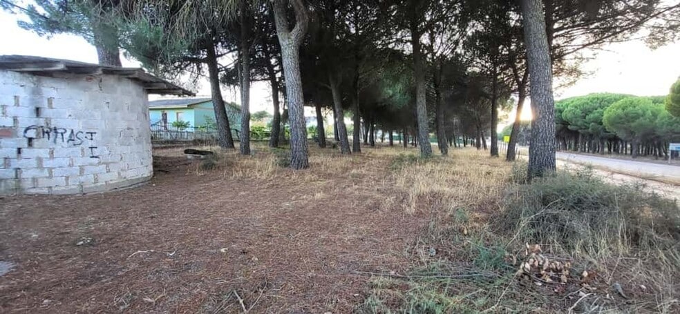 Terreno en Tudela de Duero, Valladolid en venta - Foto del edificio - Imagen 2 de 8