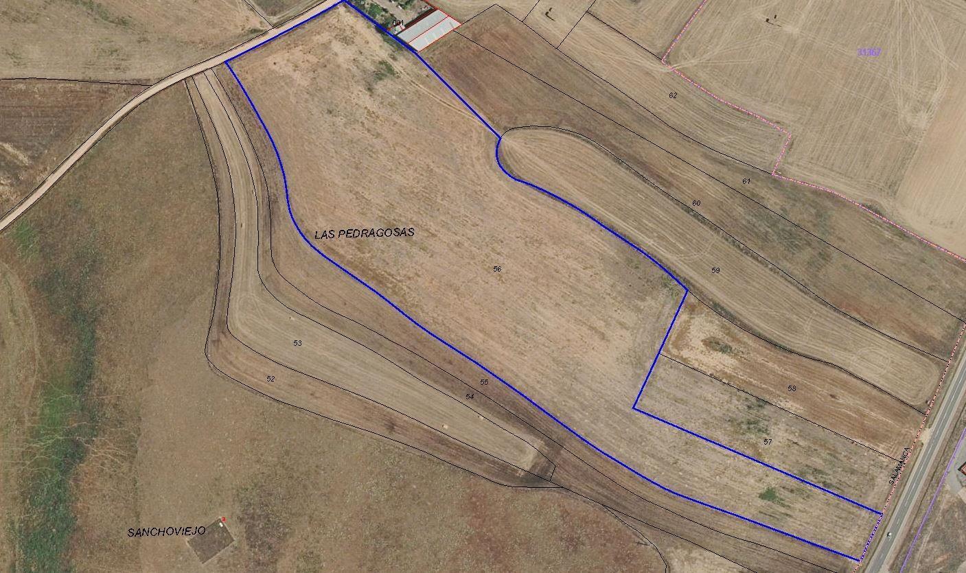 Terreno en Aldeatejada, Salamanca en alquiler Foto principal- Imagen 1 de 2