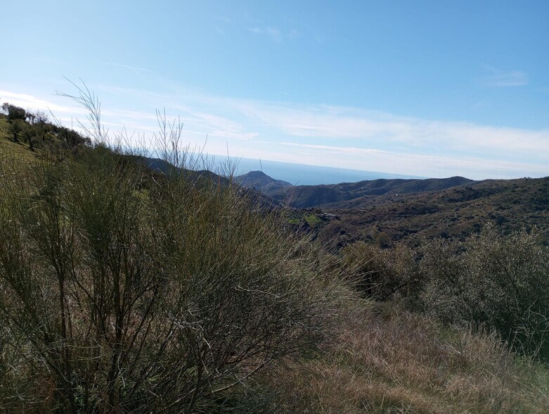 Autovía del Acceso Al Puerto, 47, Málaga, Málaga en venta - Vista aérea - Imagen 2 de 19