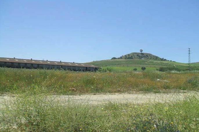 Carretera de Extremadura, 25B, Camas, Sevilla en venta - Plano de la planta - Imagen 1 de 1