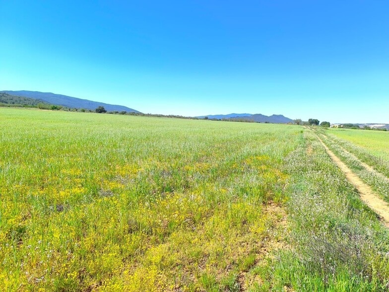 Terreno en Yecla, Murcia en venta - Vista aérea - Imagen 3 de 5