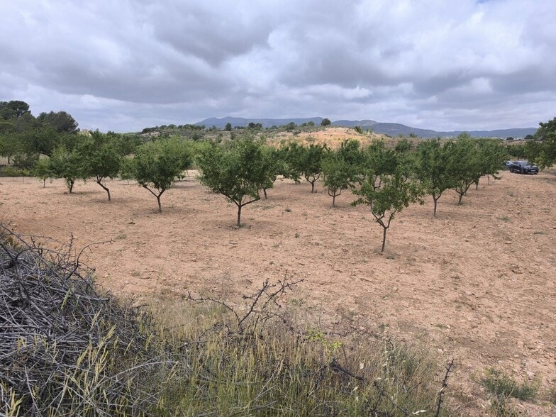 Terreno en PINOSO, Alicante en venta - Plano del sitio - Imagen 1 de 12