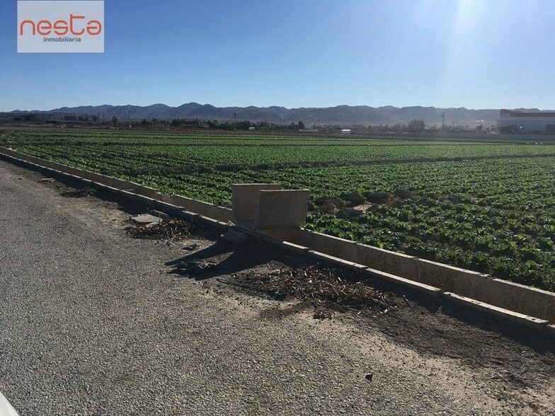 Terreno en Lorca, Murcia en venta - Foto del edificio - Imagen 1 de 4