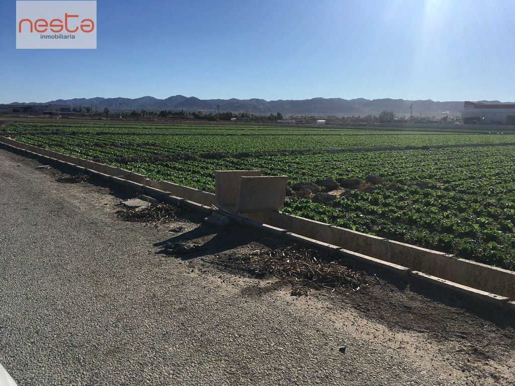 Terreno en Lorca, Murcia en venta Foto del edificio- Imagen 1 de 5