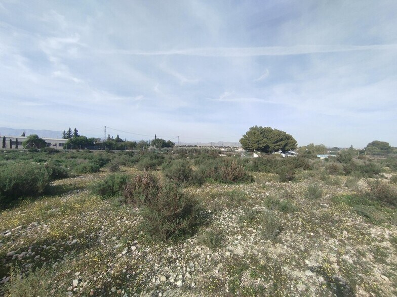 Boch, 1, Crevillent, Alicante en venta - Vista aérea - Imagen 3 de 14