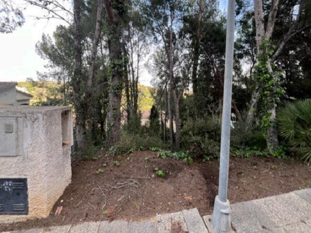 Bosque, U12, El Bosque, Cádiz en venta - Foto del edificio - Imagen 3 de 5