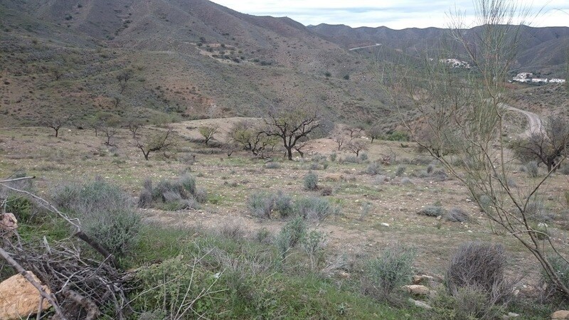 Arroyo Aceituno, Cantoria, Almería en venta - Plano del sitio - Imagen 3 de 3