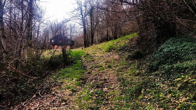 Más detalles de Cangas del Narcea, 61497, Cangas del Narcea - Terreno en venta