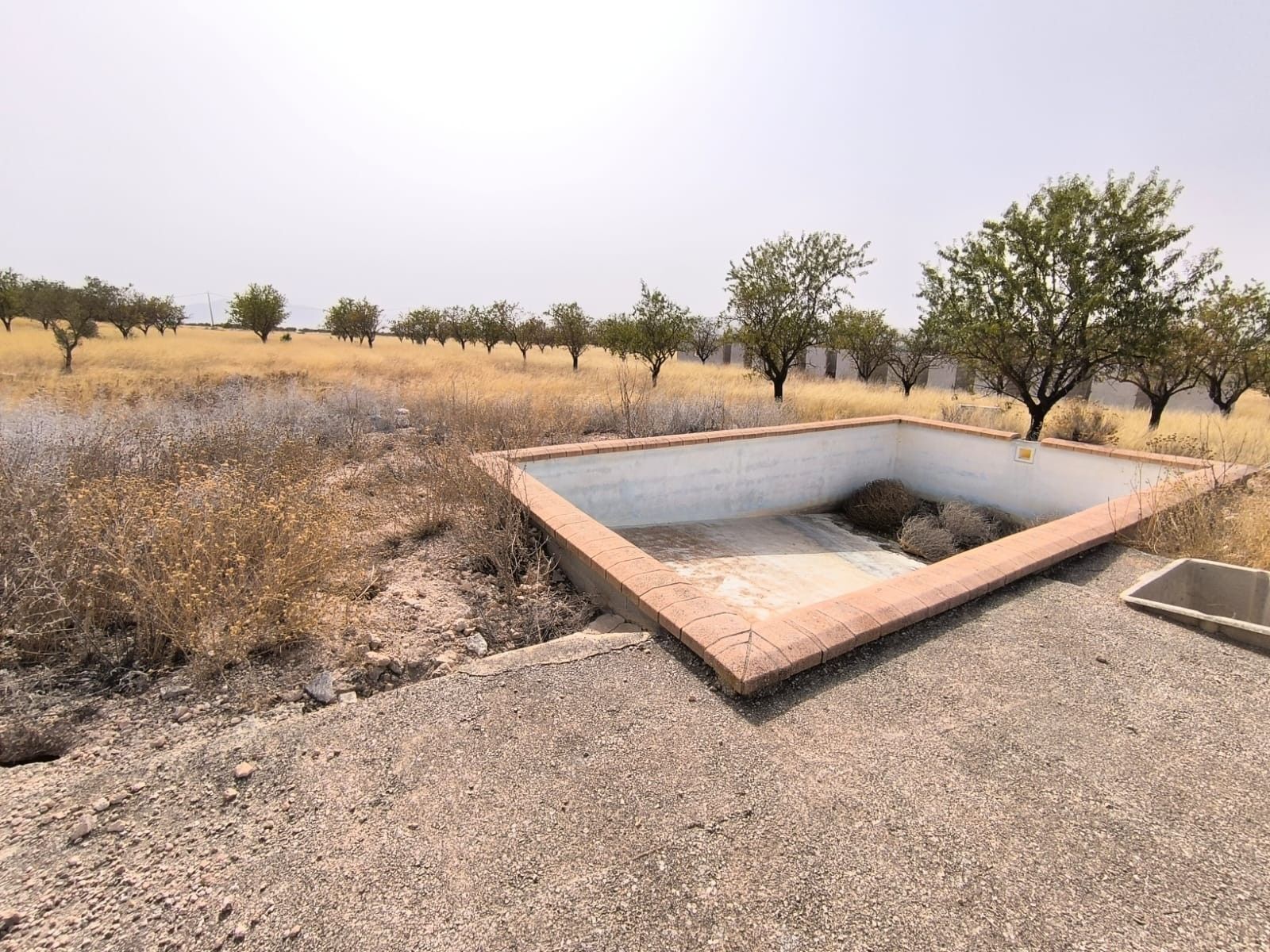 Camino de la Boca del Cántaro, Yecla, Murcia en venta Foto del edificio- Imagen 1 de 13