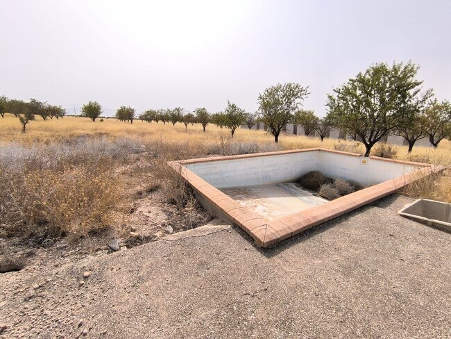 Más detalles de Camino de la Boca del Cántaro, Yecla - Terreno en venta