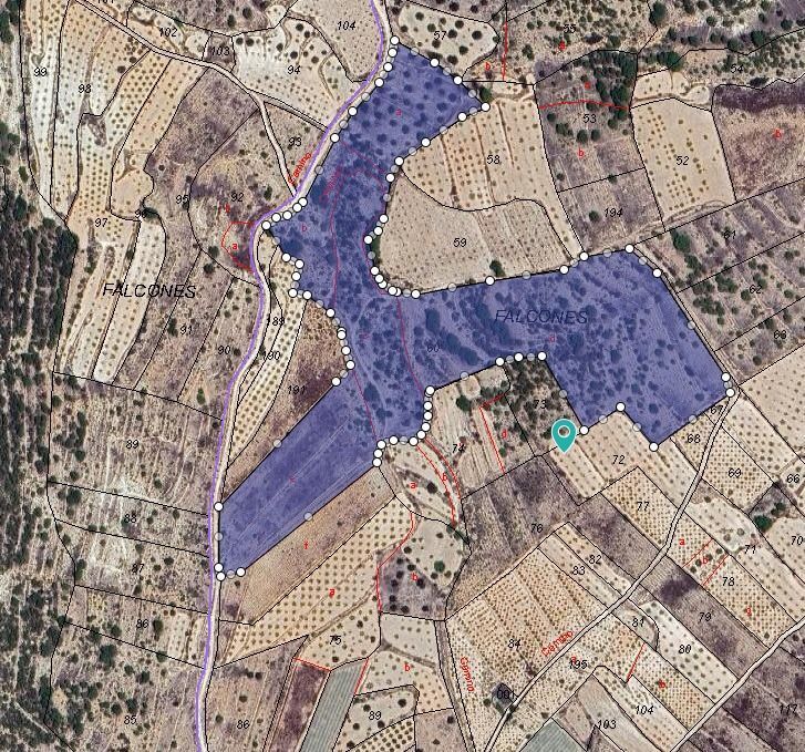 Terreno en MONÒVER, Alicante en venta Foto principal- Imagen 1 de 3