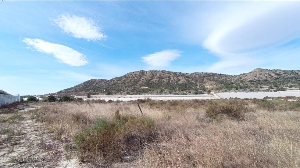 Terreno en Novelda, Alicante en venta - Vista aérea - Imagen 1 de 9