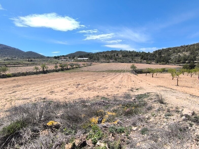 Terreno en Jumilla en venta - Foto del edificio - Imagen 3 de 4