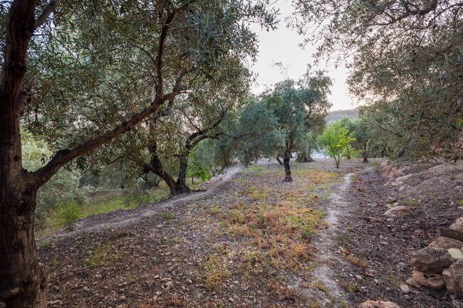 Más detalles de Paraje 67 Haza, 12, Lanjarón - Terreno en venta