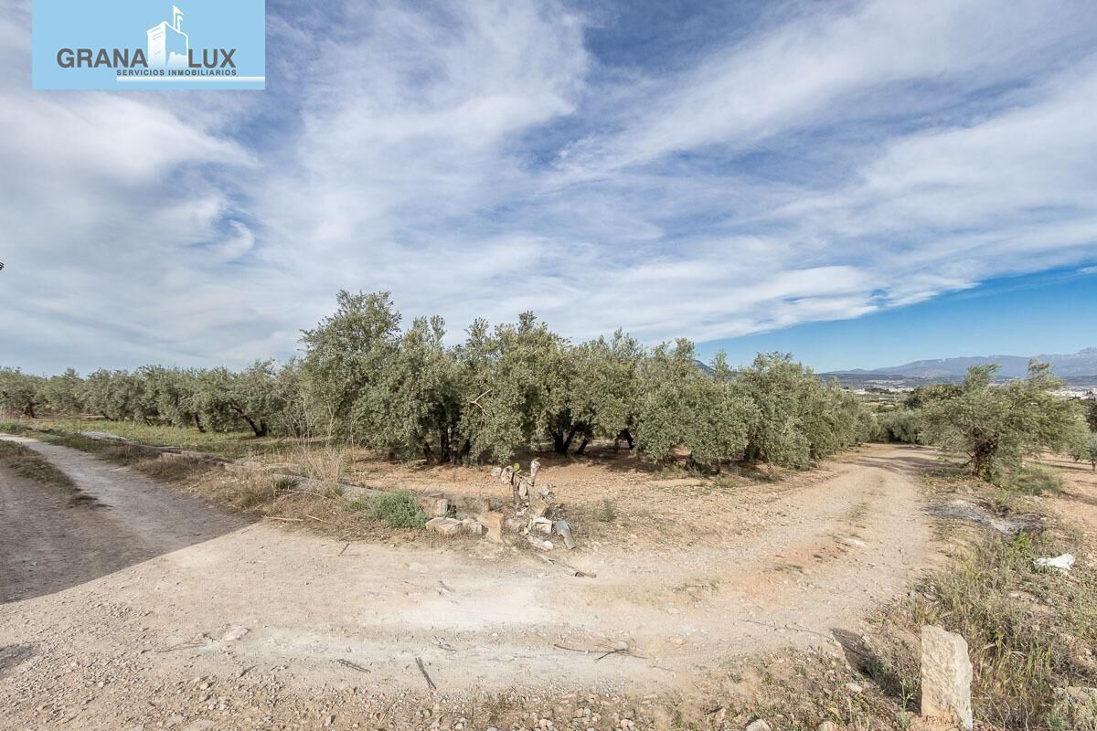 Pago de, Albolote, Granada en venta Foto principal- Imagen 1 de 15