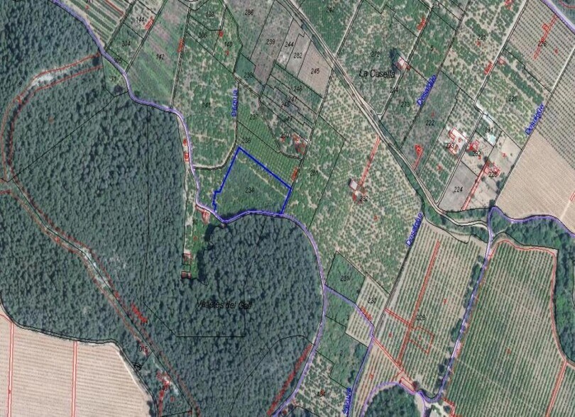 Terreno en Alzira en venta - Foto del edificio - Imagen 2 de 12