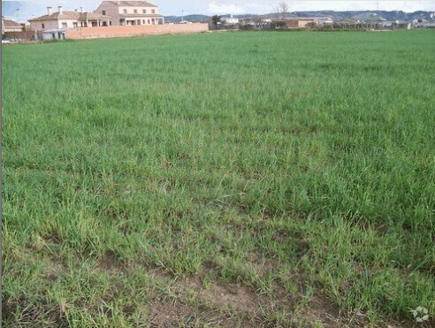 Calle Patrocinio, 1, Talavera de la Reina, Toledo en venta - Foto del edificio - Imagen 2 de 3