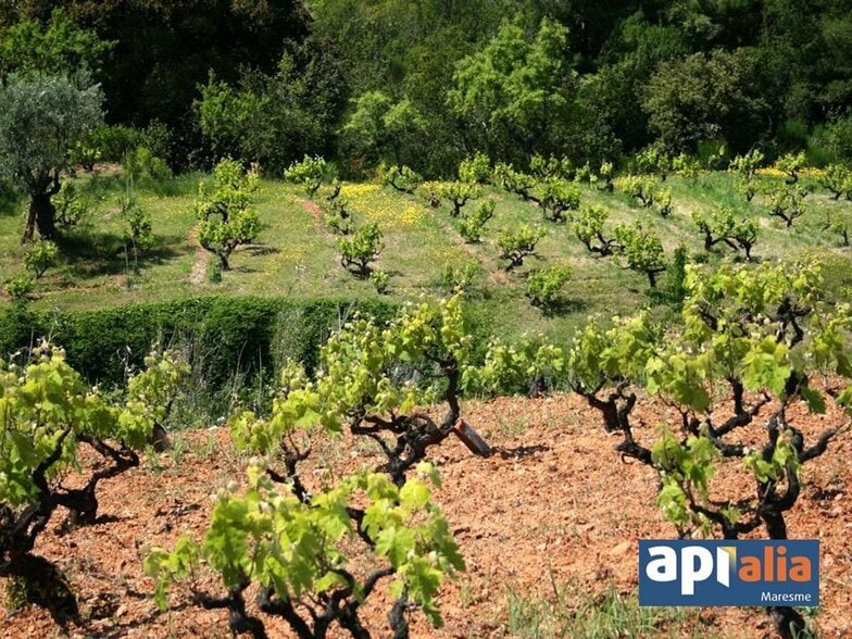 Terreno en Montornès del Vallès, Barcelona en venta - Otros - Imagen 3 de 6