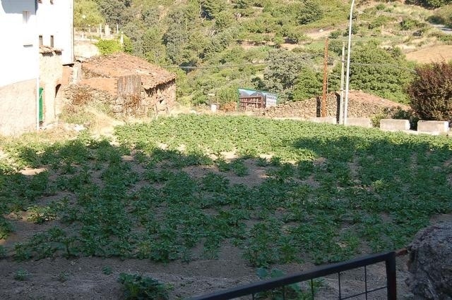 Terreno en Mijares, Ávila en venta - Plano de la planta - Imagen 1 de 1