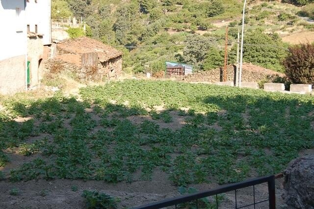 Terreno en Mijares, Ávila en venta Plano de la planta- Imagen 1 de 2