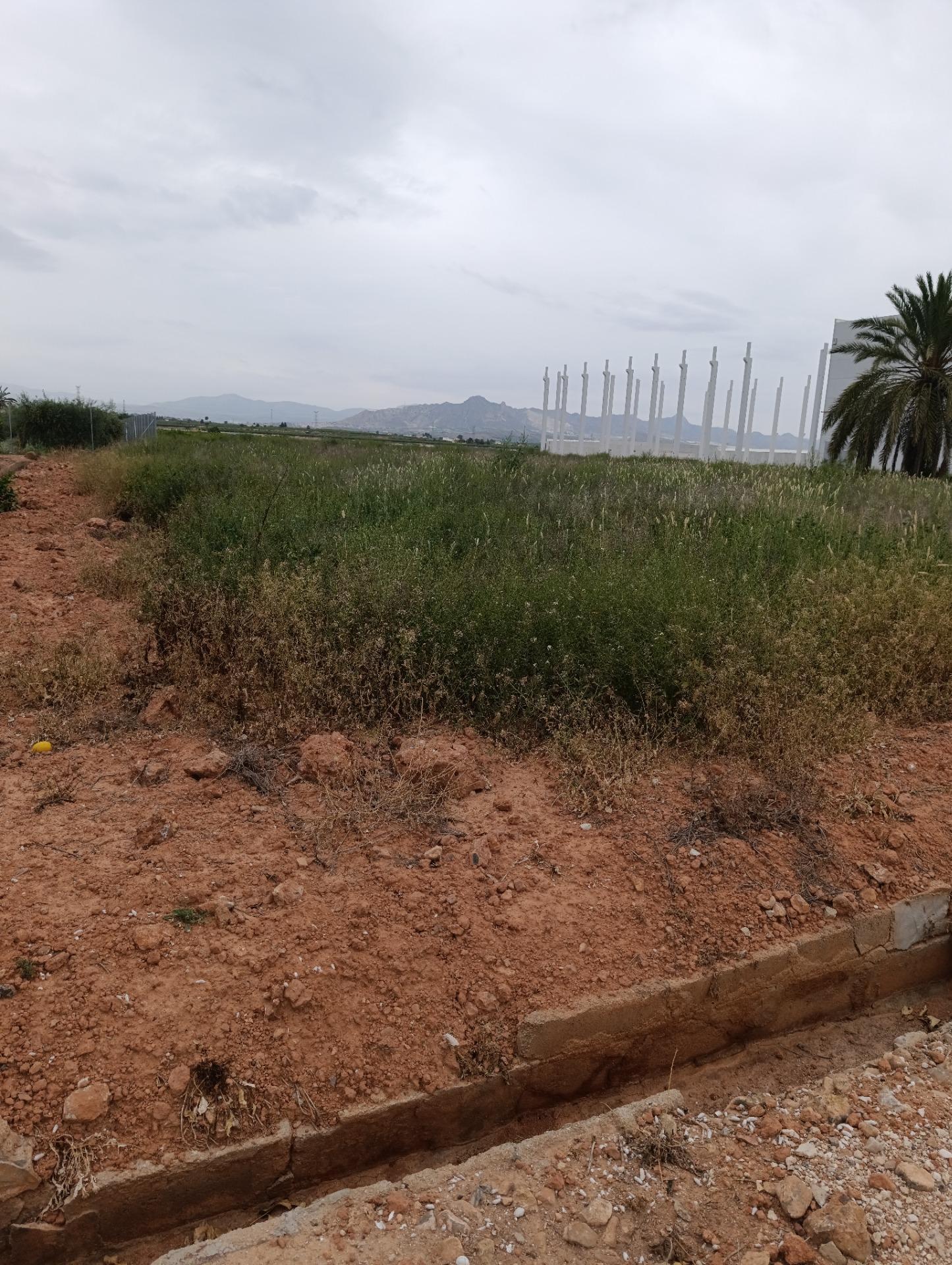 Nave en Fortuna, Murcia en venta Plano del sitio- Imagen 1 de 12