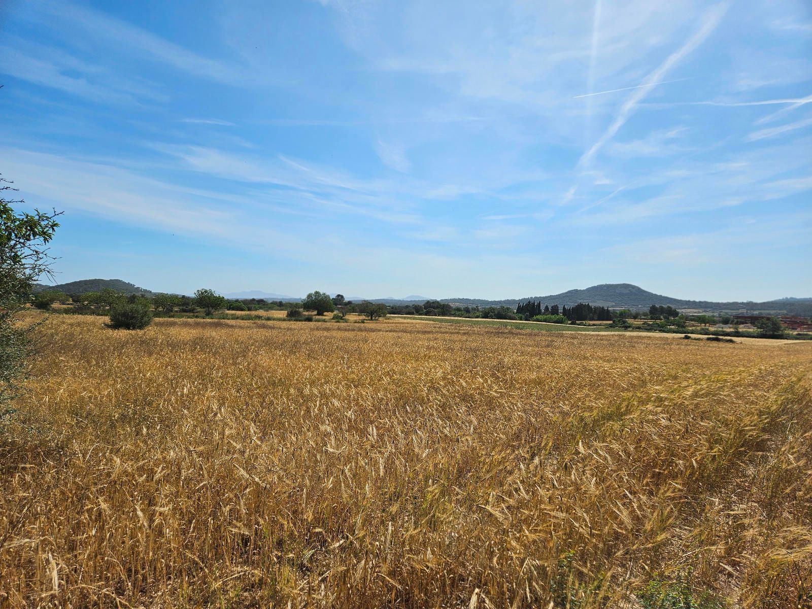 Terreno en Sineu en venta Vista aérea- Imagen 1 de 11
