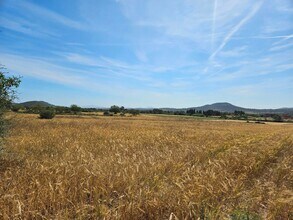 Sineu - AÉREA  vista de mapa - Image1