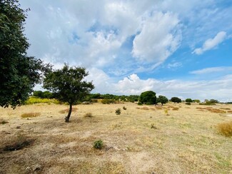 Más detalles para Terrenos en venta