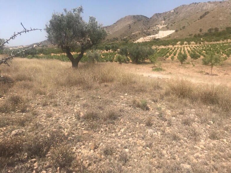 Poste, 165, Abanilla, Murcia en venta - Plano del sitio - Imagen 3 de 11