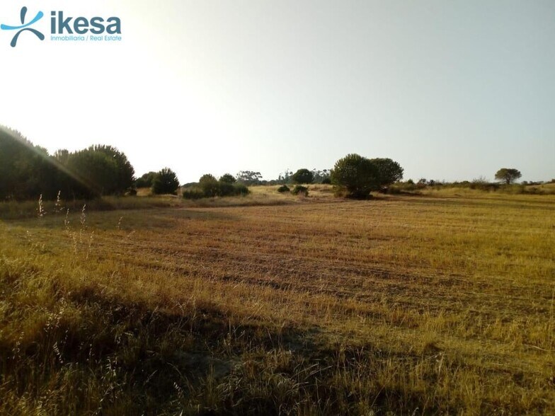 Terreno en Lepe, Huelva en venta - Vista aérea - Imagen 3 de 3