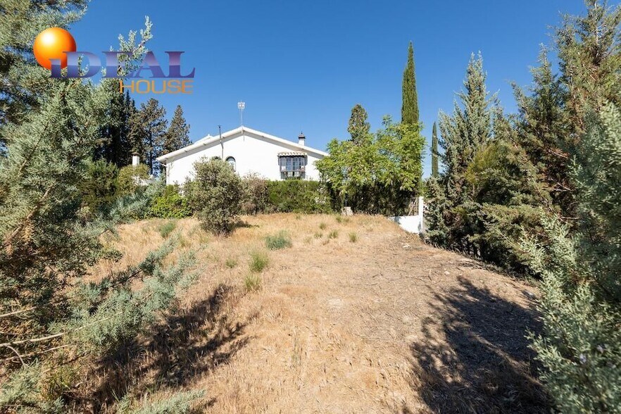 Terreno en Albolote, Granada en venta - Foto del edificio - Imagen 1 de 31