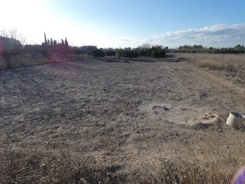 Terreno en Molina de Segura, Murcia en venta - Plano del sitio - Imagen 2 de 4