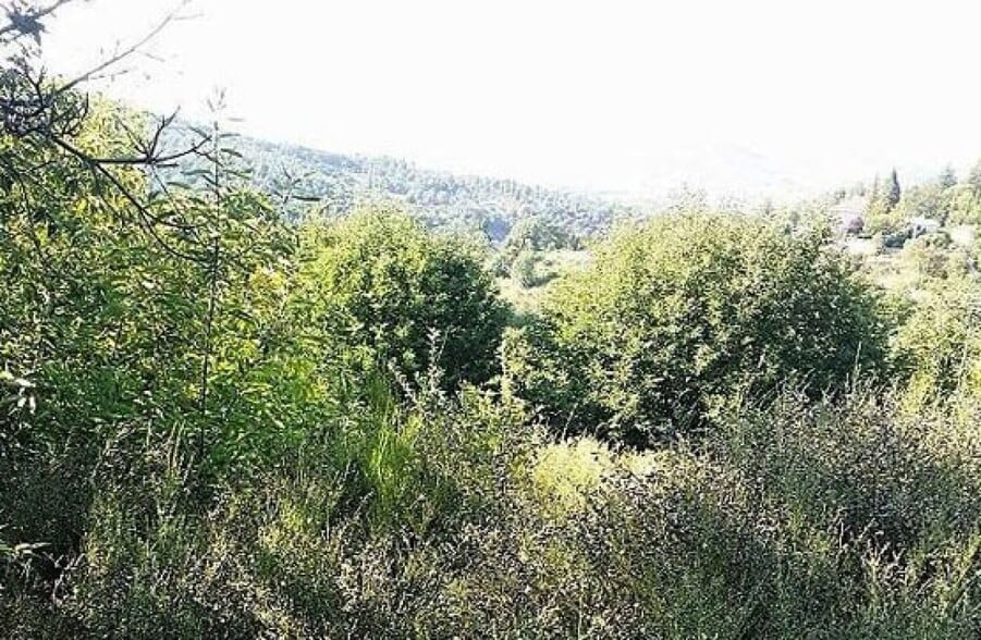 Terreno en Candelario en venta - Foto del edificio - Imagen 2 de 4