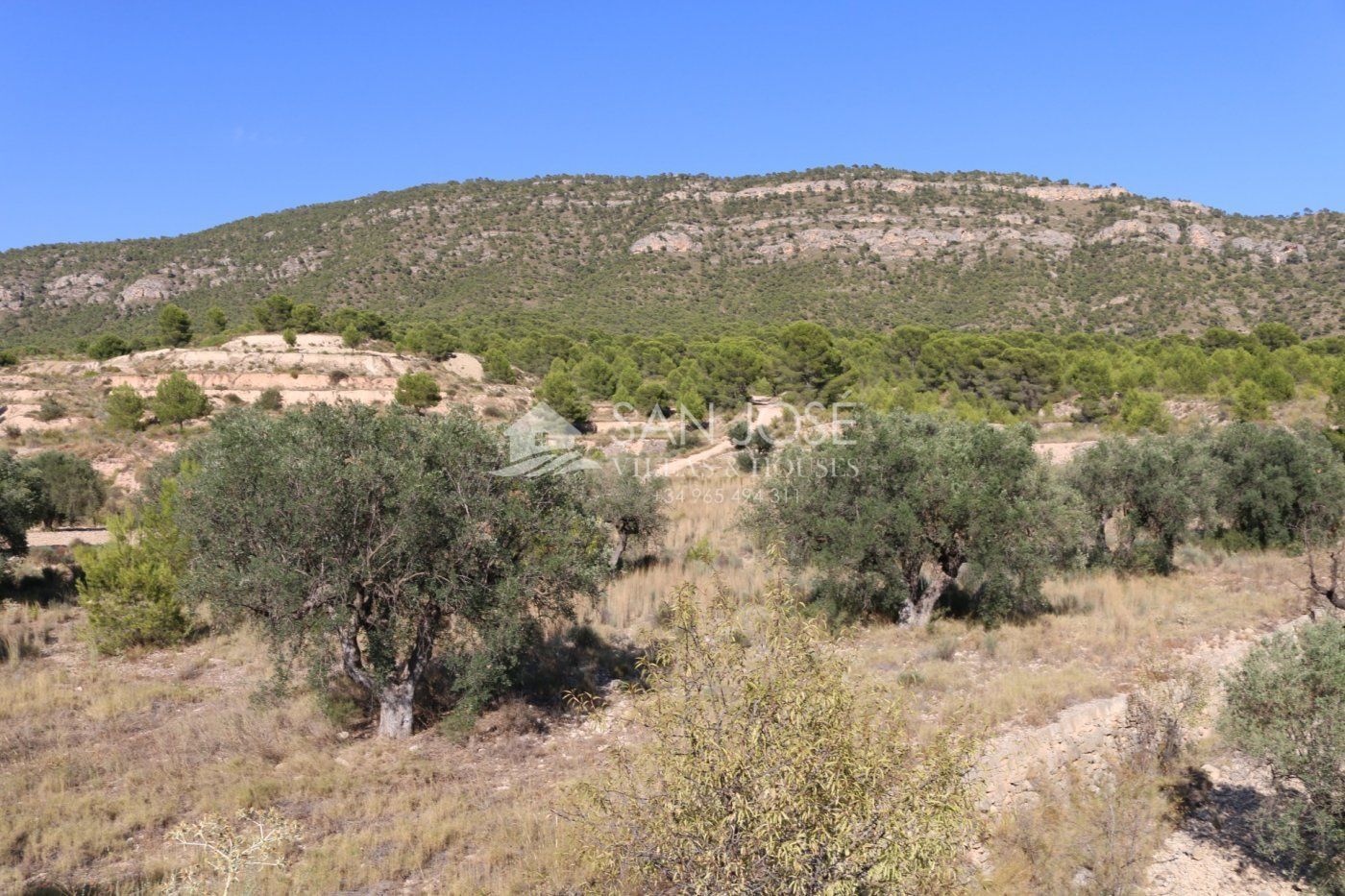 Terreno en MONÒVER, Alicante en venta Foto principal- Imagen 1 de 18