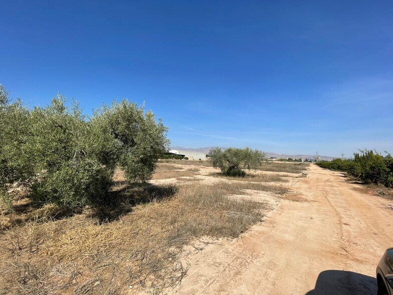 Terreno en Crevillent, Alicante en venta - Vista aérea - Imagen 2 de 3