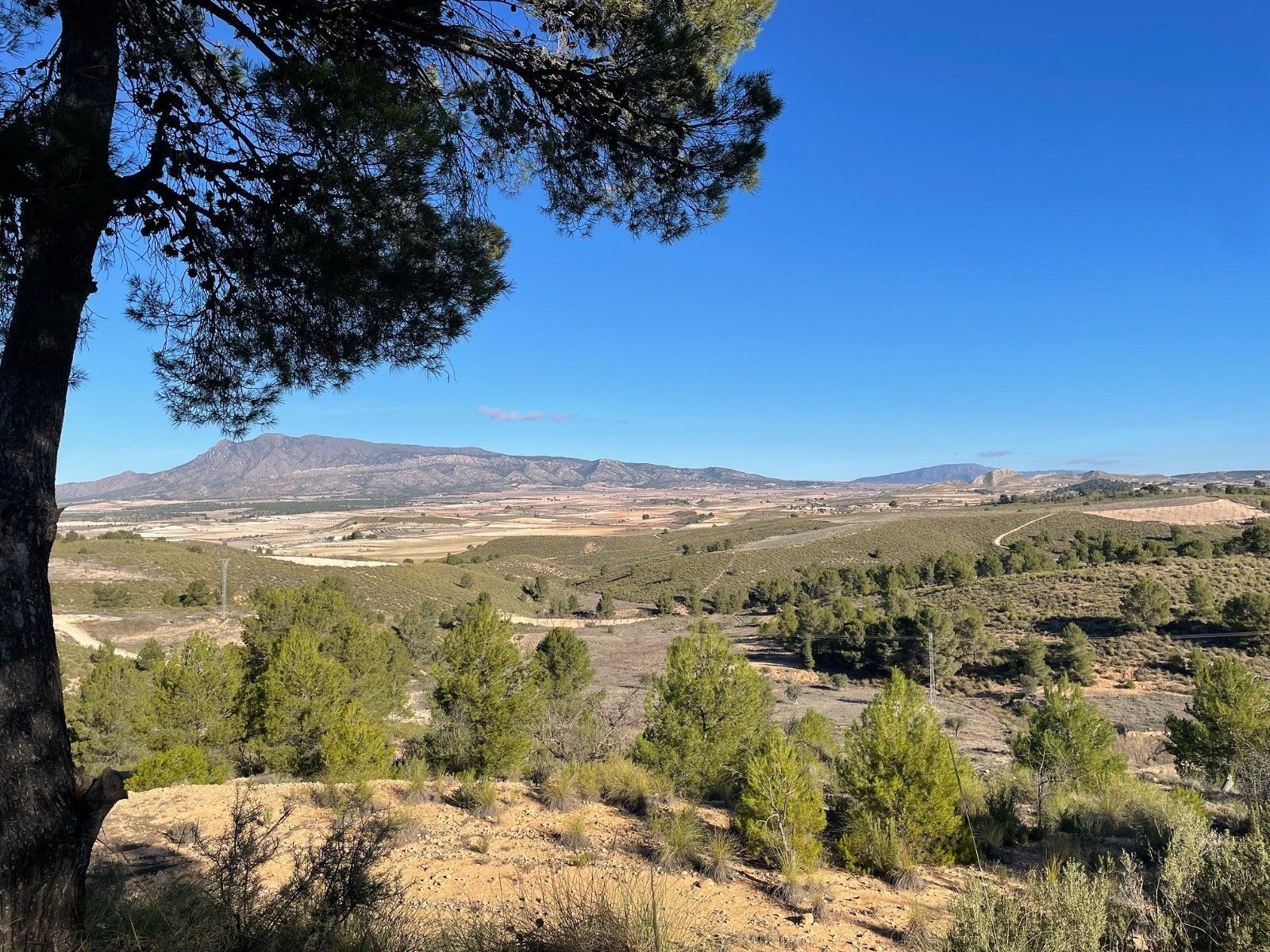 Terreno en Jumilla, Murcia en venta Foto principal- Imagen 1 de 12